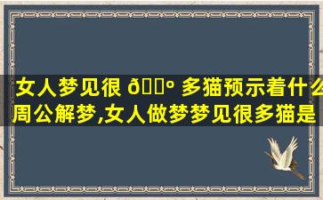 女人梦见很 🐺 多猫预示着什么周公解梦,女人做梦梦见很多猫是什么意思